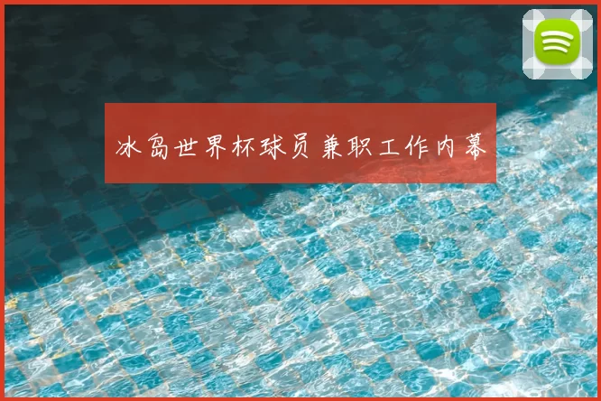冰岛世界杯球员兼职工作内幕