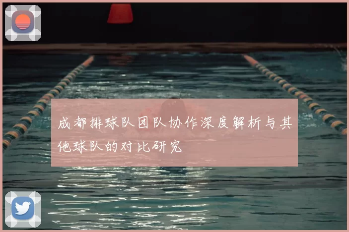 成都排球队团队协作深度解析与其他球队的对比研究