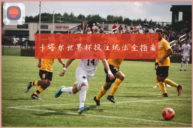卡塔尔世界杯投注玩法全指南