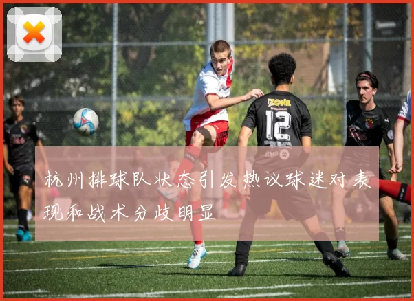 杭州排球队状态引发热议球迷对表现和战术分歧明显