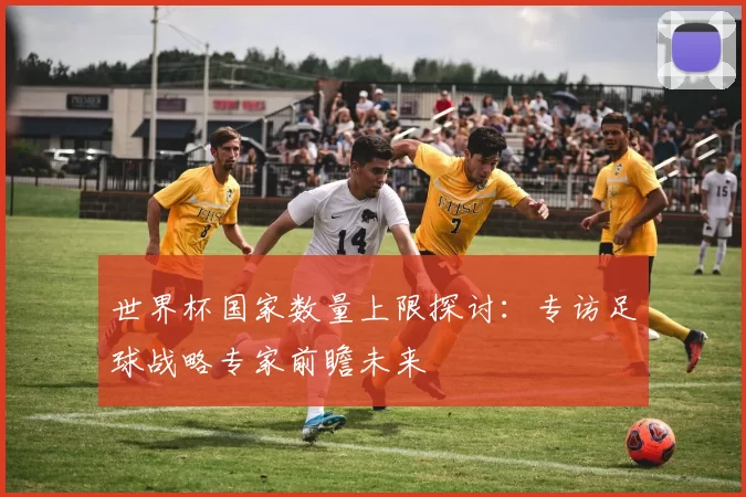世界杯国家数量上限探讨:专访足球战略专家前瞻未来