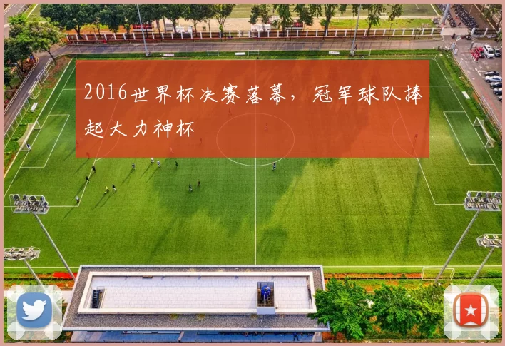 2016世界杯决赛落幕，冠军球队捧起大力神杯