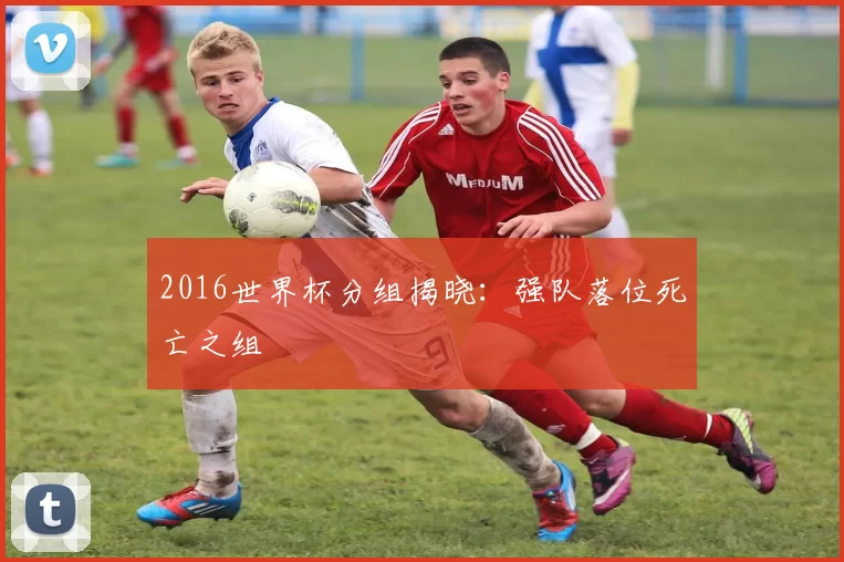 2016世界杯分组揭晓：强队落位死亡之组