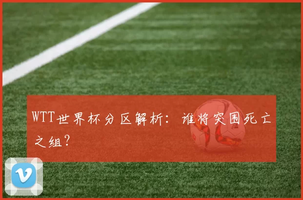 WTT世界杯分区解析：谁将突围死亡之组？