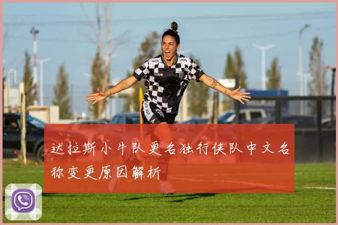达拉斯小牛队更名独行侠队中文名称变更原因解析
