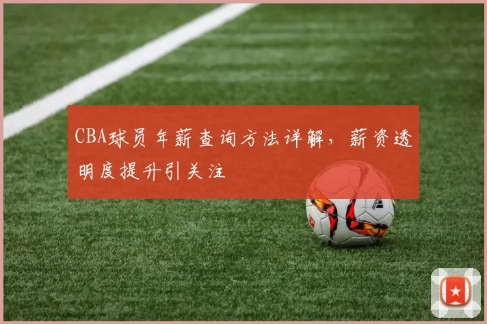 CBA球员年薪查询方法详解，薪资透明度提升引关注