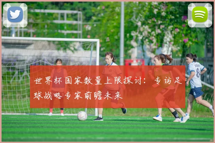 世界杯国家数量上限探讨：专访足球战略专家前瞻未来