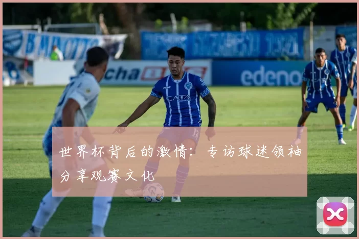世界杯背后的激情：专访球迷领袖分享观赛文化