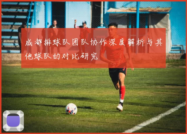 成都排球队团队协作深度解析与其他球队的对比研究