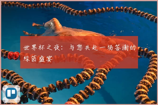 世界杯之夜:与您共赴一场答谢的绿茵盛宴